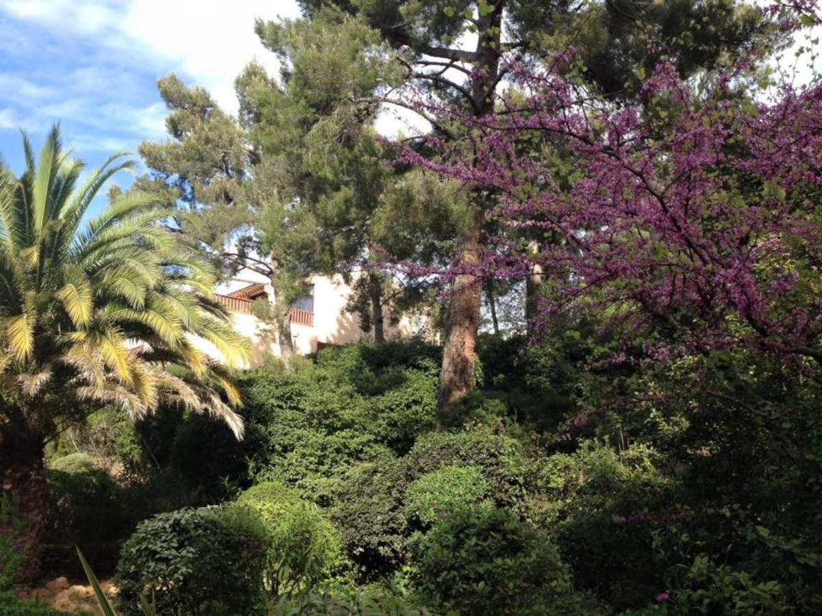 Studio 110 Grande Terrasse Proche Mer Bandol Esterno foto