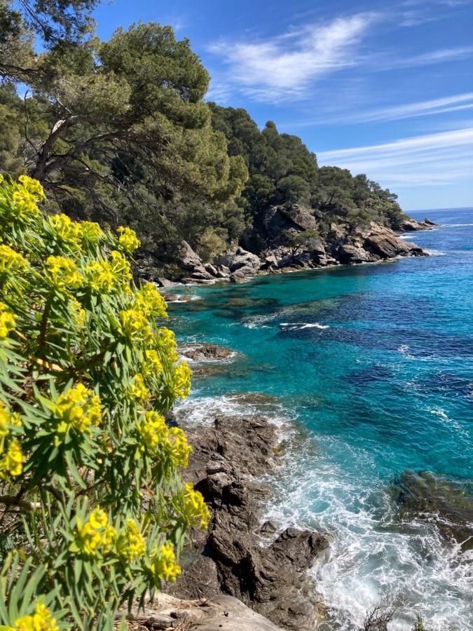 Studio 110 Grande Terrasse Proche Mer Bandol Esterno foto